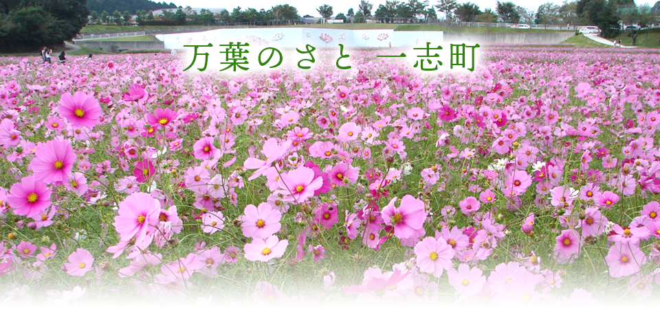 車検・修理・買取・販売　お車に関するご相談全て三重県津市の高森自動車におまかせください！